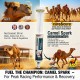 Care & Cure Camel Spark Oral Energy Booster Paste for Racing Camels, Quick Energy Support Supplement, 80 ml Tube