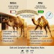 Care & Cure Camel Spark Oral Energy Booster Paste for Racing Camels, Quick Energy Support Supplement, 80 ml Tube