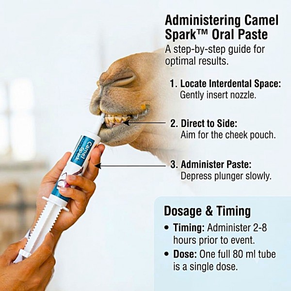 Care & Cure Camel Spark Oral Energy Booster Paste for Racing Camels, Quick Energy Support Supplement, 80 ml Tube