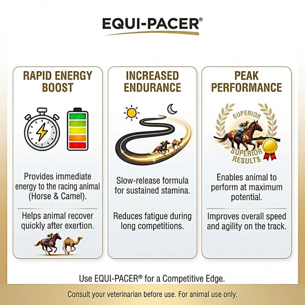Care & Cure Equi-Pacer Oral Paste 80ml for Horses and Racing Animals, Slow Release Energy and Endurance Support Supplement with Creatine, Amino Acids, D Ribose and B Vitamins