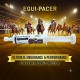 Care & Cure Equi-Pacer Oral Paste 80ml for Horses and Racing Animals, Slow Release Energy and Endurance Support Supplement with Creatine, Amino Acids, D Ribose and B Vitamins