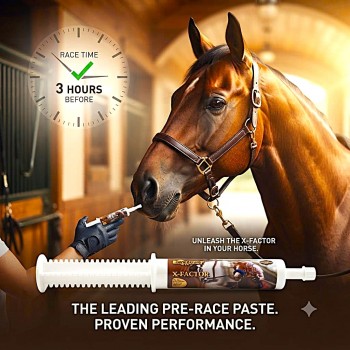 Care & Cure X-Factor Pre-Race Energy Paste for Horses 80 ml | D-Ribose L-Glutamine L-Carnitine Equine Energy & Stamina Supplement | Pre-Competition Horse Nutrition Paste