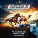 Care & Cure Equi-Burst 80ML Pre-Race Energy & Stamina Support Paste for Racing Horses & Camels, Oral Performance Supplement with Precision Dosing Syringe