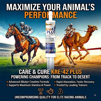 Care & Cure Kre-42 Plus Alkalyn Creatine Paste for Racing Horses & Camels 80ml | Energy, Stamina & Performance Support | Oral Syringe