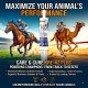 Care & Cure Kre-42 Plus Alkalyn Creatine Paste for Racing Horses & Camels 80ml | Energy, Stamina & Performance Support | Oral Syringe