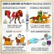 Care & Cure Kre-42 Plus Alkalyn Creatine Paste for Racing Horses & Camels 80ml | Energy, Stamina & Performance Support | Oral Syringe
