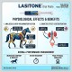 LASITONE™ Oral Paste 30 ml for Horses and Camels, Equine and Camel Racing Animal Supplement, Pre Race Performance Support Paste, Easy Oral Administration Tube, Care & Cure Animal Health