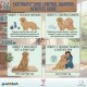 Earthbath Shed Control Shampoo for Dogs and Cats, 994 ml (32 oz), Green Tea & Awapuhi with Organic Fair Trade Shea Butter, Helps Reduce Shedding and Dander, pH Balanced, Soap Free, Cruelty Free Pet Shampoo Made in USA