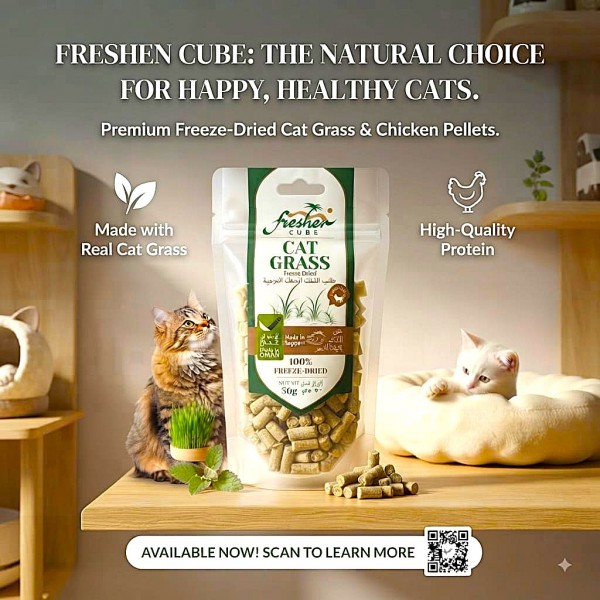 SAFA Freshen Cube Freeze Dried Cat Treat Chicken and Cat Grass High Protein Hairball Support with Taurine Omega 3 and Prebiotics 50g