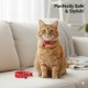 Pets Club Adjustable Cat Collar with Bell – Red Paw Print Design, Safe & Comfortable Fit for Cats, Breakaway Buckle, Lightweight & Stylish