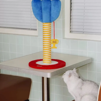 ZEZE Target Scratch Post, Size - 32cm x 32cm x 57cm.