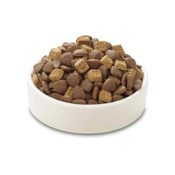 Wanpy Grain Free Adult Cat Food – Salmon Recipe, High-Protein Complete & Balanced Diet with Oven-Baked Bites, Grain-Free, 1.5 kg