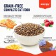 Wanpy Grain Free Adult Cat Food – Salmon Recipe, High-Protein Complete & Balanced Diet with Oven-Baked Bites, Grain-Free, 1.5 kg
