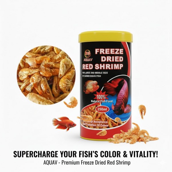 AQUAV Freeze Dried Red Shrimp 250ml – 100% Natural High-Protein Food for Carnivorous Fish & Turtles