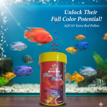 AQUAV Extra Red Pellets 1000ml – Color Enhancing Fish Food for Flower Horn, Red Parrot & Goldfish with Astaxanthin, Spirulina, Vitamins & Minerals, Does Not Cloud Water