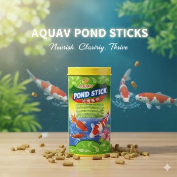 AQUAV Pond Stick Fish Food 500ml – Complete Nutrition for Koi & All Pond Fish, Low Waste Formula