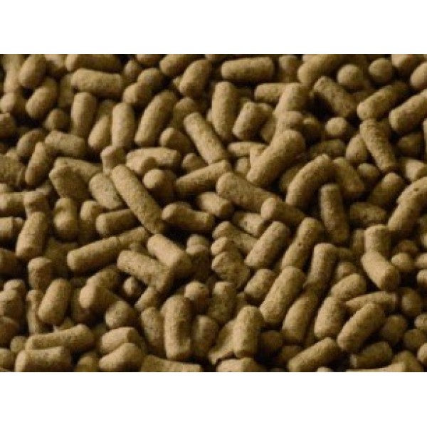 Aquav Koi Sticks 250ml Floating Koi Fish Food – Vitamin Enriched, Color Enhancing, Does Not Cloud Water