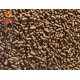 AQUAV Arowana Stick Fish Food 500ml | High Protein Color Enhancing Floating Sticks for Arowana Fish