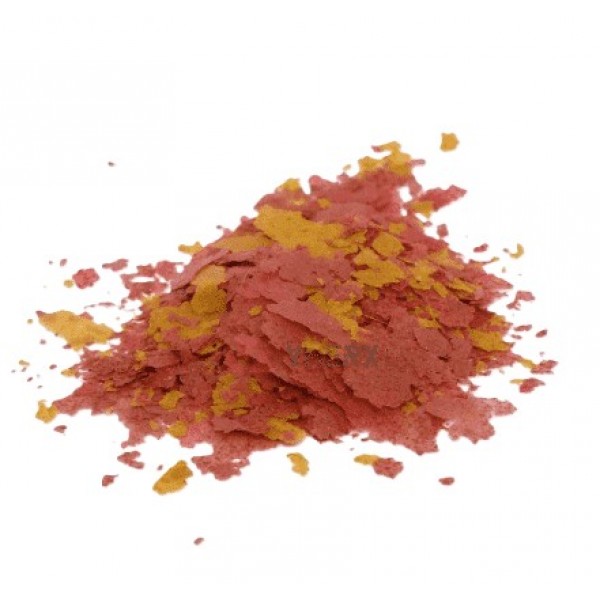 AQUAV Guppy Flakes Fish Food 500ml – High Protein 40% Nutritionally Balanced Guppy Fish Flakes, Vitamin-Enriched Formula, Color-Enhancing Spirulina & Krill, Does Not Cloud Water