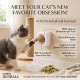 M-PETS Herball Gall Fruit Ball Interactive Cat Toy Beige 4.5 x 4.5 x 4 cm Silvervine Wall Mounted Catnip Ball for Dental Care Furball Control and Boredom Relief