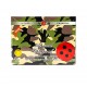 Al Qaed Army Quick Light Charcoal Tablets 50mm 20 Pcs Box for Bakhoor Incense Burning Shisha Hookah and Tobacco Use Al Qaed Army Quick Light Charcoal Tablets 50mm 20 Pcs Box for Bakhoor Incense Burning Shisha Hookah and Tobacco Use