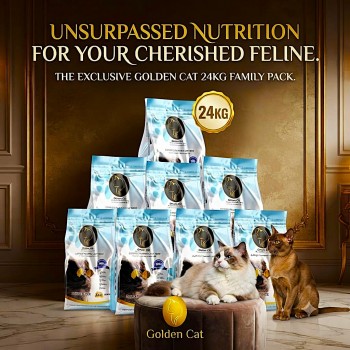 GOLDEN CAT Salmon Dry Cat Food 24kg (8 x 3kg Packs) | Adult Cat Food | High Protein Dry Food with Omega 3 | Complete Balanced Nutrition for Adult Cats All Breeds