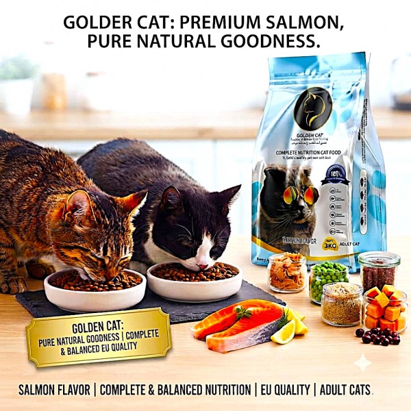 GOLDEN CAT Salmon Dry Cat Food 36kg (12 x 3kg Packs) | Adult Cat Food | High Protein Complete & Balanced Nutrition | Omega 3 Formula for Healthy Skin and Shiny Coat | All Breeds