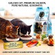 GOLDEN CAT Salmon Dry Cat Food 36kg (12 x 3kg Packs) | Adult Cat Food | High Protein Complete & Balanced Nutrition | Omega 3 Formula for Healthy Skin and Shiny Coat | All Breeds