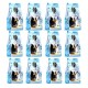 GOLDEN CAT Salmon Dry Cat Food 36kg (12 x 3kg Packs) | Adult Cat Food | High Protein Complete & Balanced Nutrition | Omega 3 Formula for Healthy Skin and Shiny Coat | All Breeds