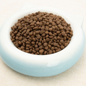 Golden Cat Kitten Dry Food (3kg) For Cat