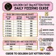 GOLDEN CAT 24 KG Cat Dry Food | 3kg x 8 Bags 2 Cartons | Chicken Fish Egg & Milk Flavor | 32% High Protein Complete Cat Nutrition for Kittens Adult & Mother Cats