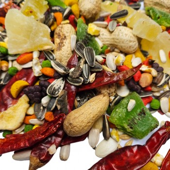 Golden Cat Parrot Fruit Food Natual Seeds(1kg)