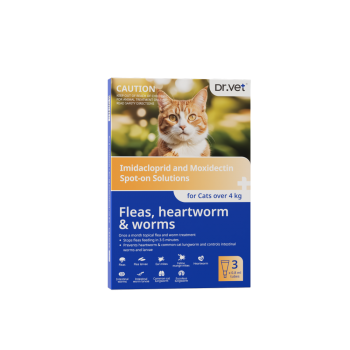 DR. VET Imidacloprid and Moxidectin Spot-On Solution For Cats Over 4 kg 3 Tubes per Box DR. VET Imidacloprid and Moxidectin Spot-On Solution For Cats Over 4 kg 3 Tubes per Box