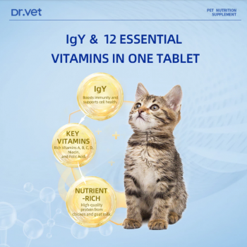 Dr. Vet Multivitamin for Cats with IgY (200 Tablets) Immune Support • Skin & Coat Health • Overall Vitality