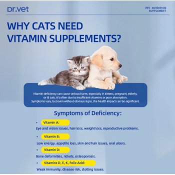 Dr. Vet Multivitamin for Cats with IgY (200 Tablets) Immune Support • Skin & Coat Health • Overall Vitality