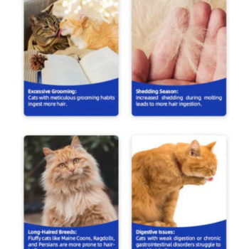 Dr. Vet Hairball Relief Tablets for Cats (180 Tablets) Cat Grass Formula • Hairball Relief • Digestive Support