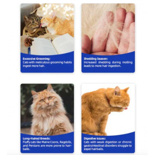 Dr. Vet Hairball Relief Tablets for Cats (180 Tablets) Cat Grass Formula • Hairball Relief • Digestive Support