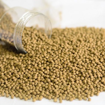 Aquav Koi Pellets 500ML – Premium Koi Fish Food for Vibrant Color, Healthy Growth & Strong Immunity, Non-Clouding, Pond & Aquarium