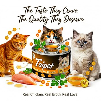 Taipet Canned Wet Food Chicken in Broth for Kitten (2 Months+) 85g – High Protein Natural Chicken Wet Cat Food with Taurine, Vitamins A, D3 & E, Easily Digestible Premium Kitten Nutrition