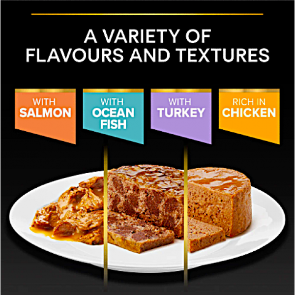 Purina Pro Plan Adult Maintenance Wet Cat Food Chicken 85g x 24 Cans – Complete & Balanced Nutrition, No Added Colourants