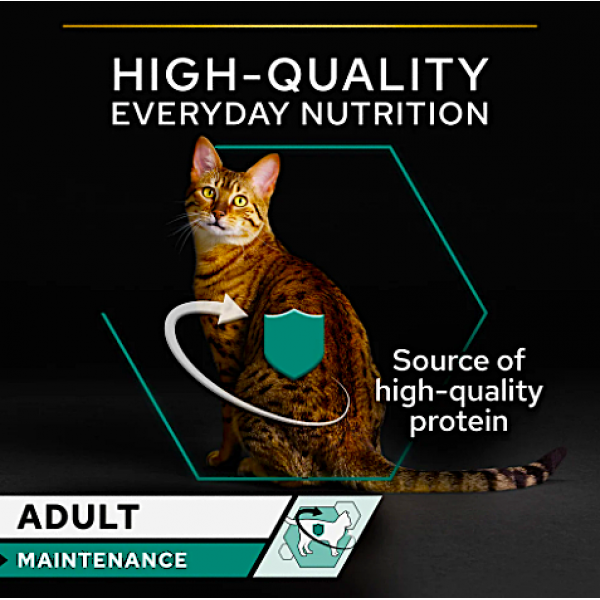 Purina Pro Plan Adult Maintenance Wet Cat Food Chicken 85g x 24 Cans – Complete & Balanced Nutrition, No Added Colourants