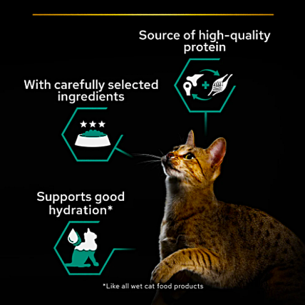 Purina Pro Plan Adult Maintenance Wet Cat Food Chicken 85g x 24 Cans – Complete & Balanced Nutrition, No Added Colourants