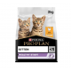 PRO PLAN Kitten Healthy Start Dry Cat Food, Chicken – 3 kg | Colostrum for Immune Support, DHA for Brain & Vision, High Protein for Growth | Pregnant & Nursing Queens | Designed to be Recyclable