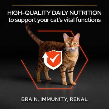 Purina Pro Plan Adult Vital Functions Dry Cat Food with Salmon – 1.5 kg | Supports Brain, Immune & Kidney Health | No Added Colourants or Flavourings | Science-Based Nutrition Developed with Veterinarians
