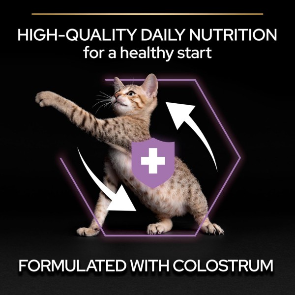 Purina Pro Plan Sterilised Kitten Healthy Start Dry Cat Food – Salmon, 1.5 kg – Colostrum for Immune Support, Urinary Health & Healthy Growth – No Added Colourants or Flavourings