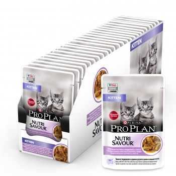 Proplan Junior Kitten Turkey1box(26x85g)  For Cat