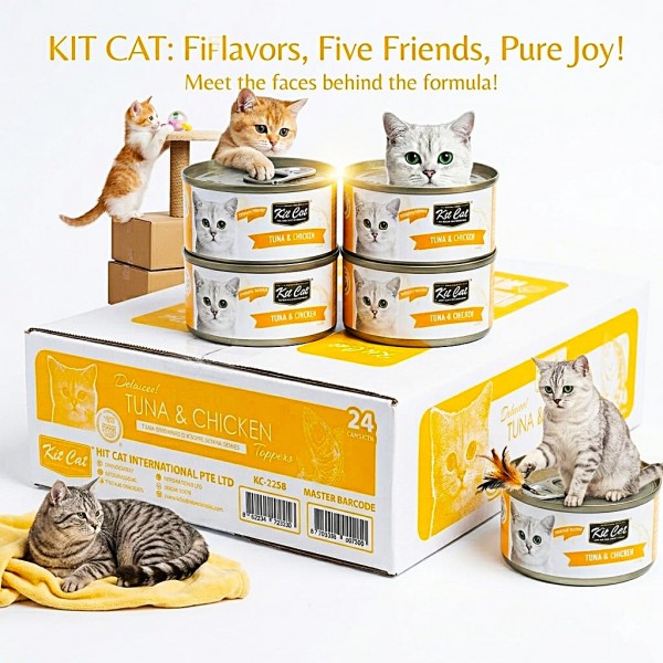 Kit Cat Tuna & Chicken Wet Cat Food 80g (24 x 80g Box) Grain Free Deboned Toppers | Taurine Added | Hairball Control | Omega 3 & 6 | Urinary Tract & Kidney Health Support | No Pork No Lard | All Life Stages