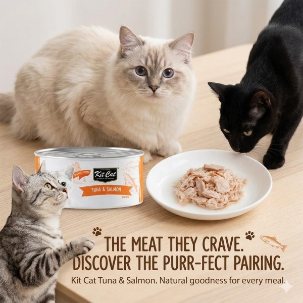 Kit Cat Tuna & Salmon Wet Cat Food 80g (Box of 24) | Grain-Free | All Life Stages