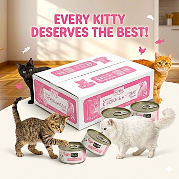 Kit Cat Chicken & Whitebait in Aspic Wet Cat Food 80g (24 x 80g Box) – Grain Free, Hairball Control, Urinary Tract & Kidney Support, Omega 3 & 6, No Pork No Lard, No Artificial Preservatives, Premium Cat Food
