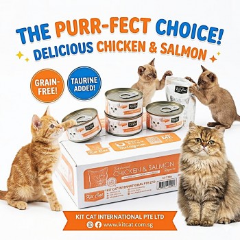 Kit Cat Chicken & Salmon Wet Cat Food 80g (24 Cans) Grain-Free Hairball Control Formula – Rich in Omega 3 & 6, Supports Urinary Tract Health, Reduces Kidney Stone Risk, No Pork No Lard, No Artificial Preservatives, Super Premium Cat Food